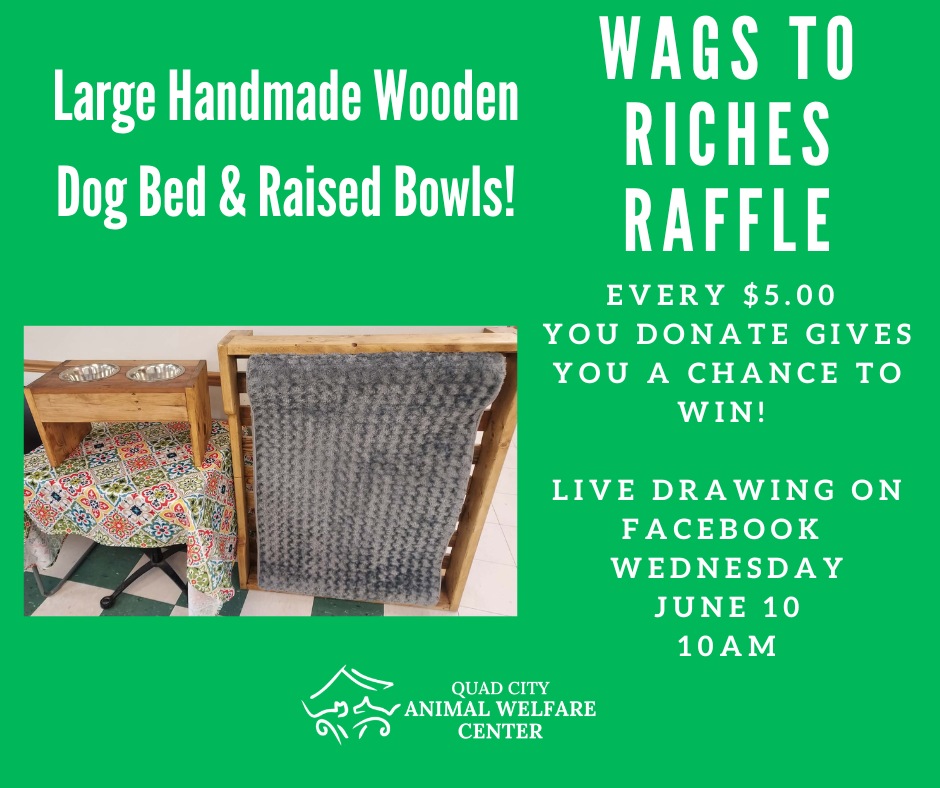Wags to riches raffle 3